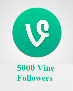 5000 Vine Followers