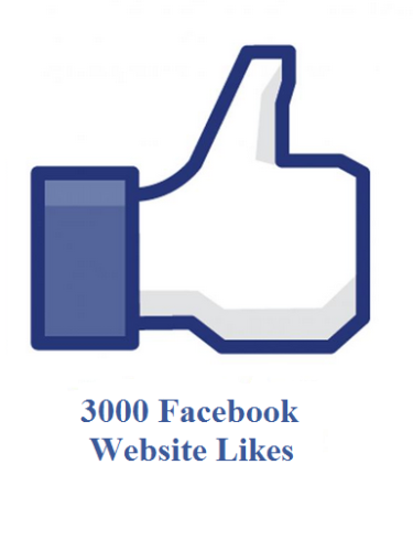 3000 facebook website likes