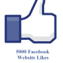 5000 facebook website likes