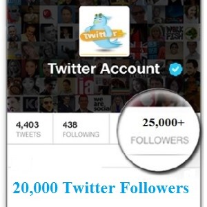 25000-Twitter-Followers-300x300