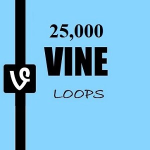 25 Vine Loops